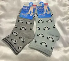 Item thumbnail for item 49b16cf3-ece3-470d-8aac-a5615fb541b4