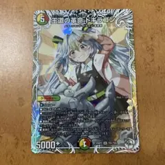 Item thumbnail for item 421eeab2-0941-4971-924f-e58d70b77dc7