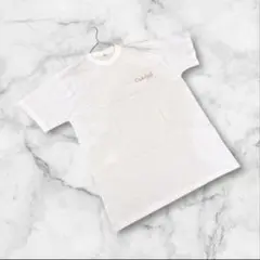 Oalesleap 半袖Tシャツ　L ホワイト　綿100%