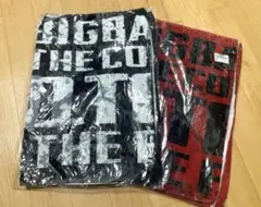 「BIGBANG10 0.TO.10 -THE FINAL-タオル2枚セット