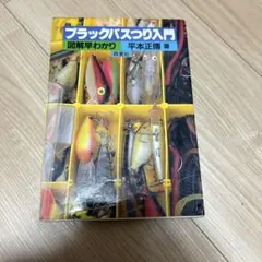 【中古】 平本正博のプラグの作り方 オリジナル・ルアーでビッグ・ワンにアタック！/ナツメ社/平本正博 2025年最新】リベット 平本の人気アイテム - メルカリ