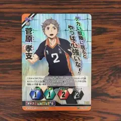 3601 スーパーバボ 菅原 孝支 ハイキューバボカ ハイキュー