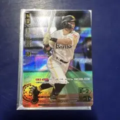 ドリームオーダー 中村晃 sp