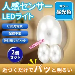 人感センサーライト　LED　充電式　自動点灯　USB　昼白色　昼光色　磁石　２個