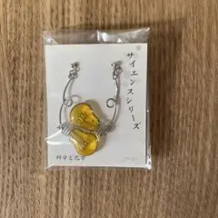サイエンスシリーズ ピアス