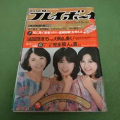 プレイボーイ　昭和53年4/11号　キャンディーズ　森下愛子