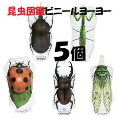 ★５個★昆虫図鑑ビニールヨーヨー　ペーパークラフト付　知育玩具　水遊び　郵送
