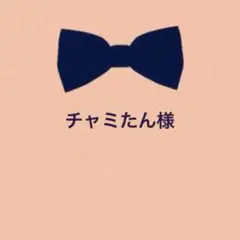 チャミたん様 リクエスト 4点 まとめ商品