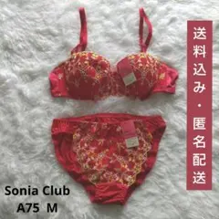 BD18: Sonia Club 花柄刺繍 ブラジャーショーツセット 赤 M