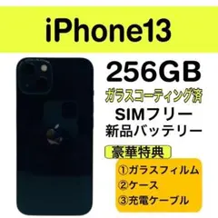 Item thumbnail for item 37a18f03-09f2-4271-b64c-688ea067a4fb