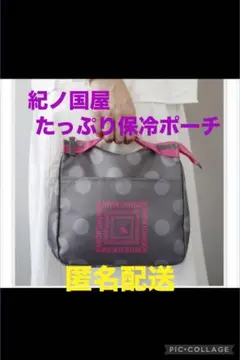 紀ノ国屋のたっぷり保冷ポーチ　ドット