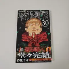呪術廻戦 30