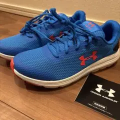 UNDER ARMOUR 青 スニーカー　24㎝