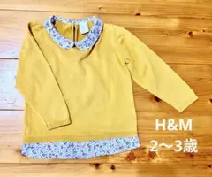 Item thumbnail for item feddfe47-71c6-40cd-96c3-afb760a4ea72