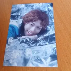 テニミュ　氷帝　ランブロ　芥川慈郎
