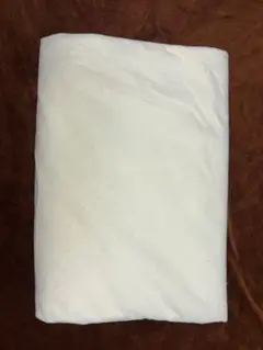 Item thumbnail for item 8b0ab6fe-66a5-4556-822b-275b292817e2