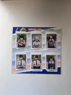 僕のヒーローアカデミア HEROES NAP フォトカードセット