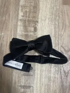 Item thumbnail for item 67f82d47-7a69-45e5-8dd2-7c71b2b6d8b7