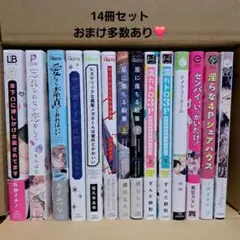 BL漫画 コミック まとめ売り14冊セット