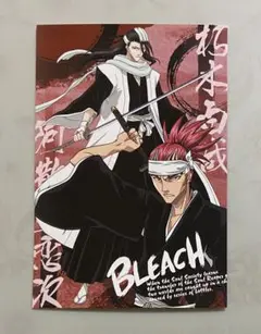 BLEACH ポストカード 朽木白哉 阿散井恋次