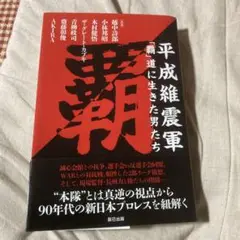 平成維震軍「覇」道に生きた男たち