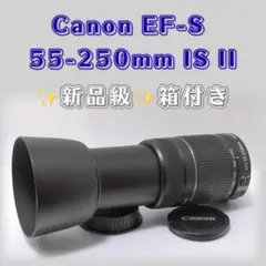 Item thumbnail for item 31e501b6-70b0-4741-9be4-823fa94e8a24