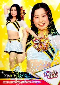 Item thumbnail for item df2b4cd5-1207-4f8b-898d-9f45e96ce227