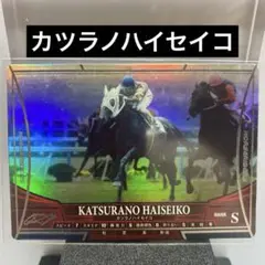 2025年最新】カツラノハイセイコの人気アイテム - メルカリ