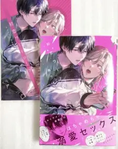 初恋ワードローブ　 雨ウオ アニメイト購入特典リーフレット付き