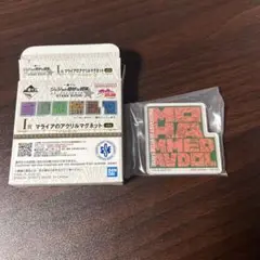 一番くじ　ジョジョの奇妙な冒険　I賞マライアのアクリルマグネット　アブドゥル