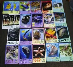鳥羽水族館 70周年 コレクションカード26枚セット