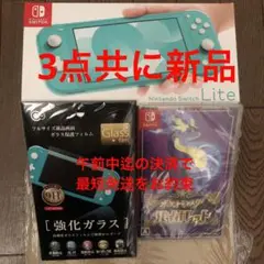 switch lite ライト ターコイズ ポケットモンスターバイオレット 新品