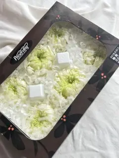 Item thumbnail for item 47c1d1d3-baaa-4f4f-95f4-59d45f24690e