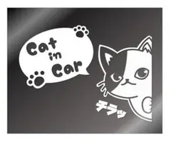 ひょっこり猫　カッティングステッカー　Cat in Car【白】