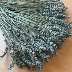 【無農薬❗】ラベンダー ドライフラワー 20〜30cm 100本