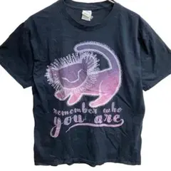 ポート＆カンパニー ライオンキング Tシャツ 黒 L ディズニー【5035】