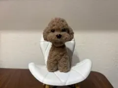ハンドメイド　トイプードル