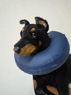 Item thumbnail for item a7c55aa9-0a2f-4836-a111-20aef73e6a15