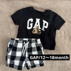 GAP セットアップ