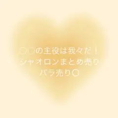 ○○の主役は我々だ シャオロン まとめ売り
