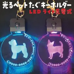 Item thumbnail for item fa87c89e-d36b-42a7-9dce-e922dd364954