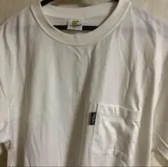 golden bear ゴールデンベア　USA Tシャツ