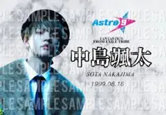BOT FANTASTICS 中島颯太 ネムボ