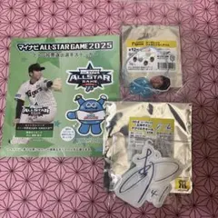 村上頌樹　阪神タイガース　ヘアゴム　立体サインアクリルチャーム　ステッカー
