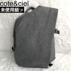リュック メンズ 大容量 cote&ciel コートエシェル Isar バッグ