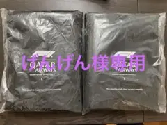 Item thumbnail for item 0ba3f2d6-f4fe-4cf8-93bd-8ca7293d74cf