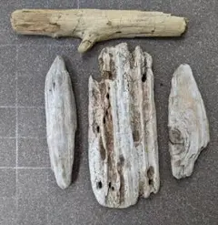 Item thumbnail for item 12af16cd-8ea7-4f22-8a0d-61df82b9602a