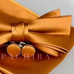 Item thumbnail for item 570c102e-445e-459a-ab3d-d1a298a0f248