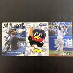 プロ野球チップス2025 第2弾　東京ヤクルトスワローズまとめ売り