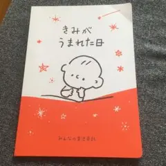 ベルメゾン　きみが生まれた日　育児日記